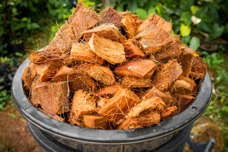 Closeup of pot of burnt orange Coconut Coir pieces