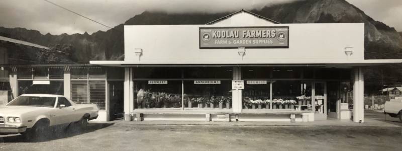 Black and white photo of front of Koolau Farmers white building, mountains in the background, circa 1960s