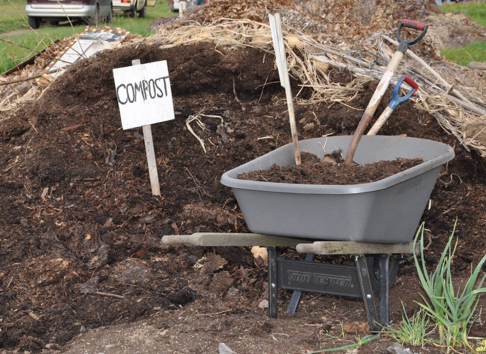Compost pile with wheel barrel used in organic gardening