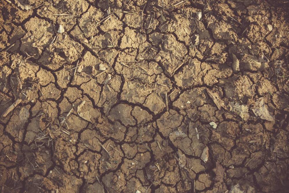 dry, cracked earth