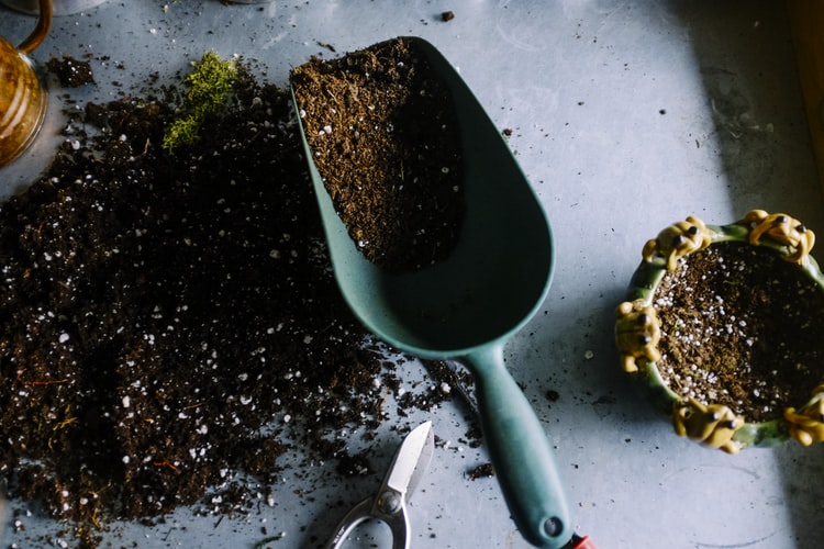 trowel and rich soil for organic gardening