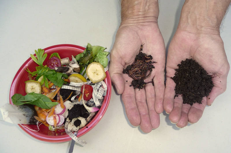 A bowl of vegetable scraps sits next to a hand holding worms and another hand holding rich compost